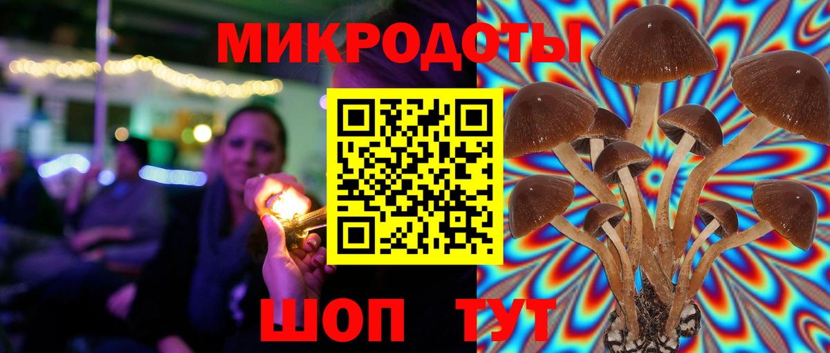 Псилоцибиновые грибы GOLDEN TEACHER Новокубанск