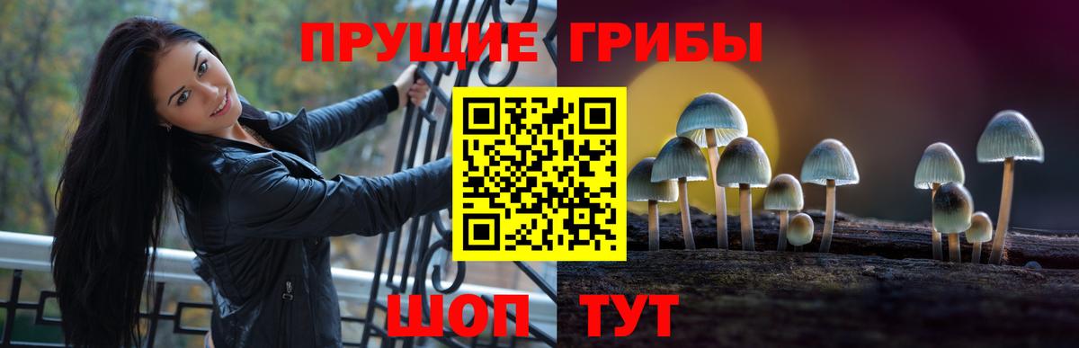 Галлюциногенные грибы Cubensis  Вход с VPN  Псилоцибиновые грибы мицелий  сколько стоит  Новокубанск 